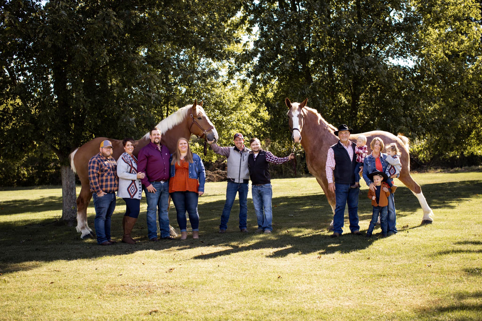 Berry`s Belgians - Illinois, Belgian Draft Horse Breeder